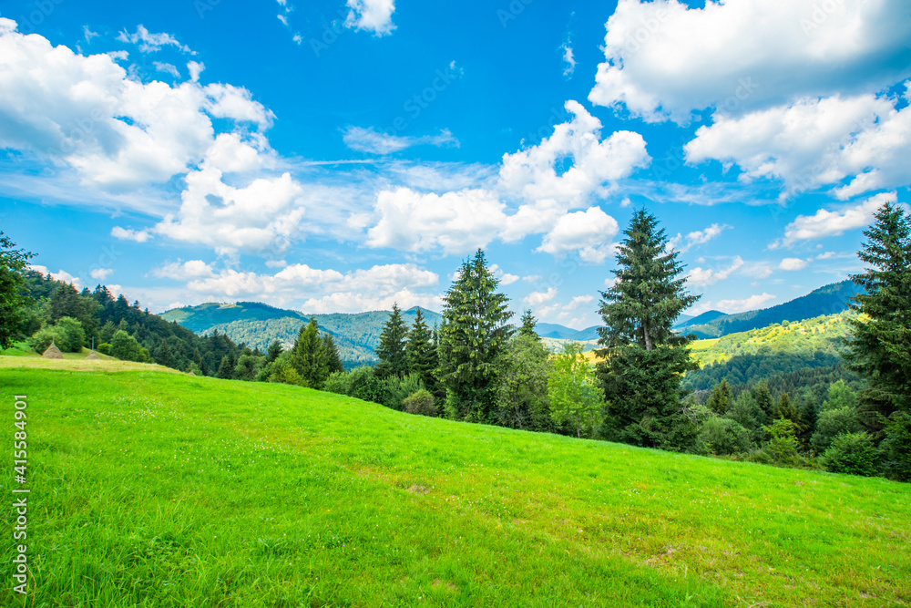 meadow on top of mountains view of forest and mountains blue sky with clouds. beautiful mountains background.