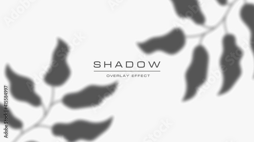 Shadow overlay realistic effect on white background. Wall mock up with foliage shadow. Shadow from leaves on wall