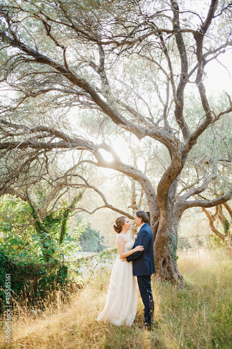 Bride and groom hug near a beautiful old olive tree in an olive grove  © Nadtochiy