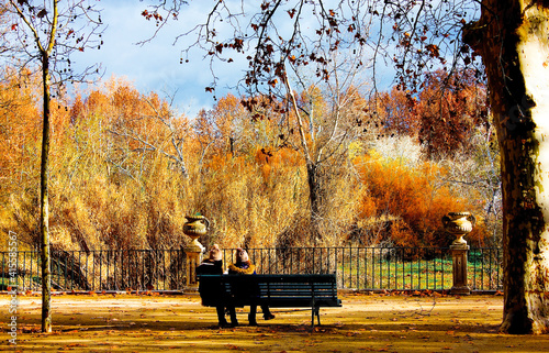 bench in autumn park