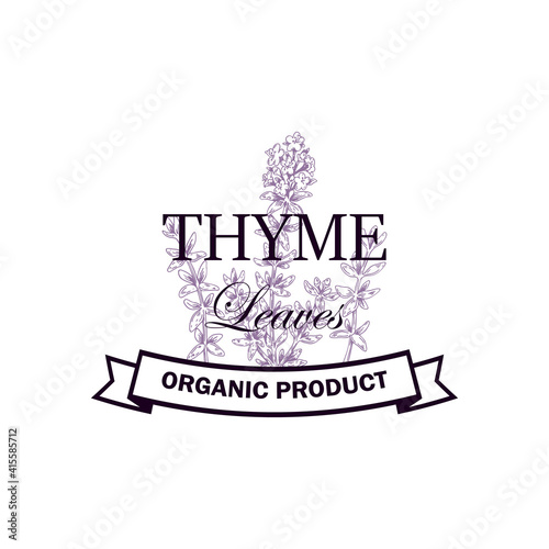 Thyme leaves logo with hand drawn elements. Vector illustration in sketch style isolated on white background