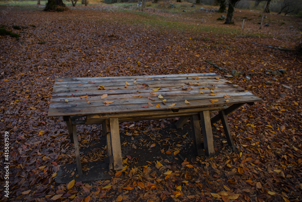 Old wooden table top with leaves falling in forest, autumn background Old wooden table top with leaves falling in forest, autumn background