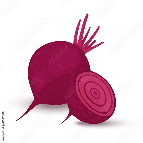 Red beetroot whole and cut isolated on white background. vector illustration flat design