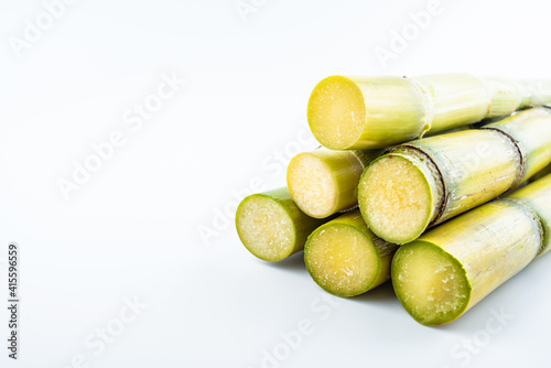Fresh yellow sugar cane on white background