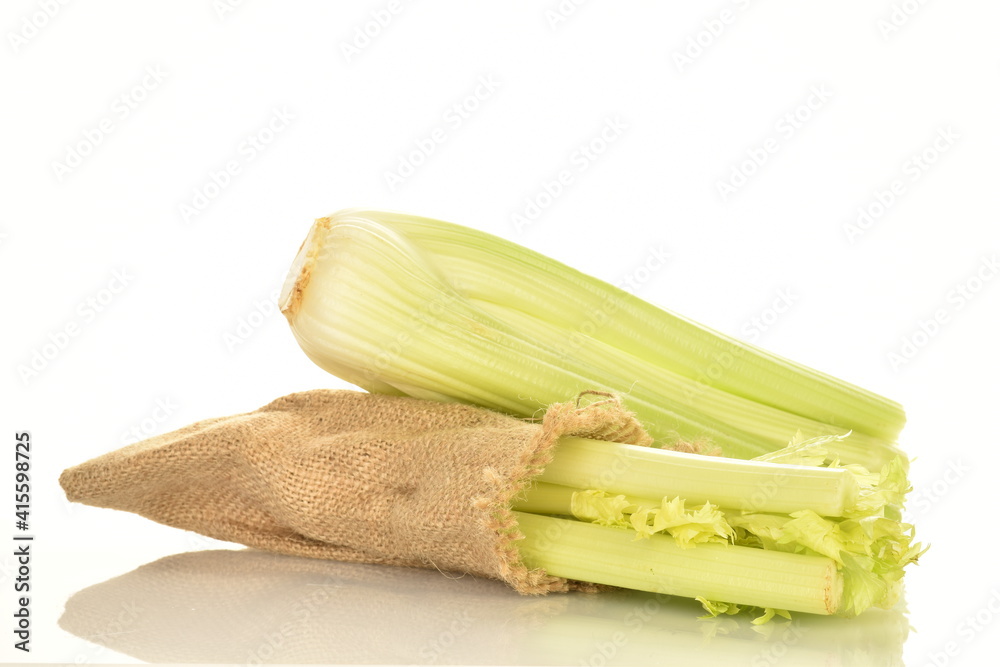 Two light green organic celery stalks with a jute bag, close-up, isolated on white. Two light green organic celery stalks with a jute bag, close-up, isolated on white.