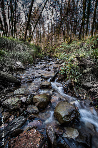 stream in the duchess woods