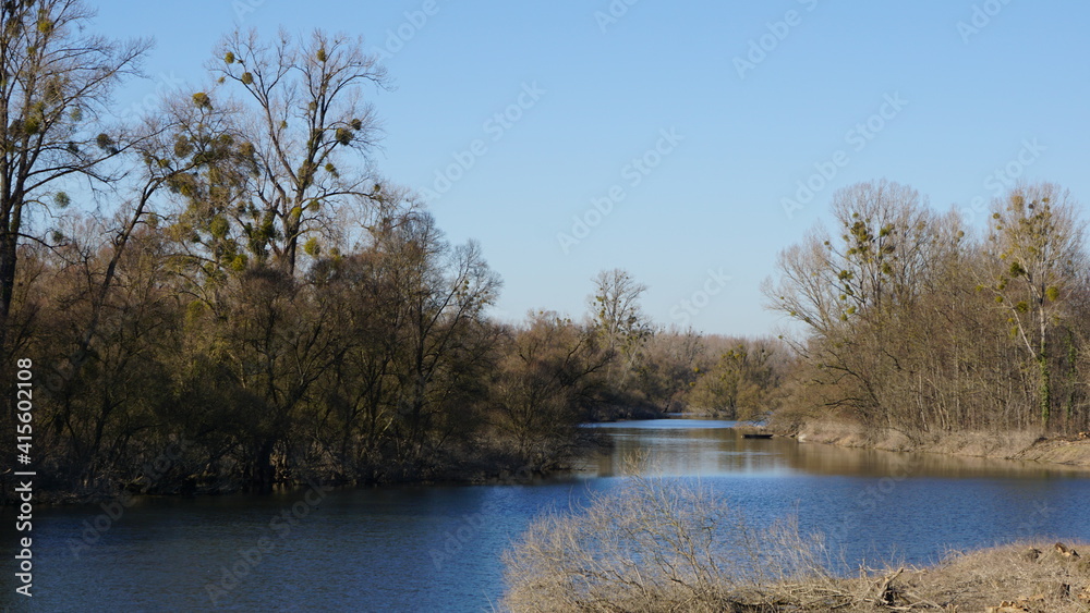 the nature reserve Auer Koepfle-Illinger Altrhein-Motherner Woerth in the community Au am Rhein in the region Baden-Wuerttemberg in the month of February, Germany