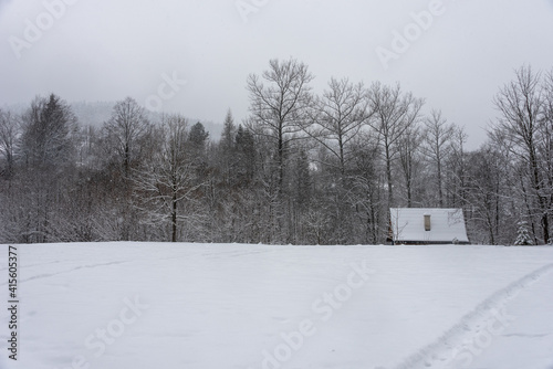 Typical winter landscape in Poland. House in the forest, roof covered with snow. Snowflakes falling. Selective focus. 