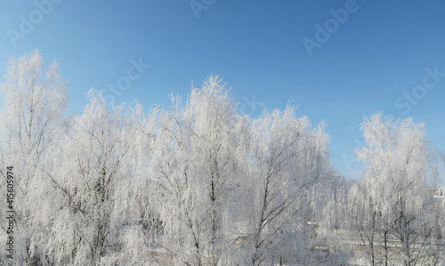 Aerial view of frozen trees on a background of blue sky. All trees are covered with ice and hoarfrost