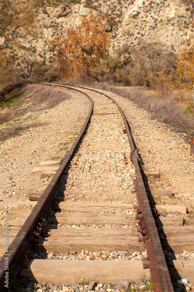 Fototapeta premium Vías de tren