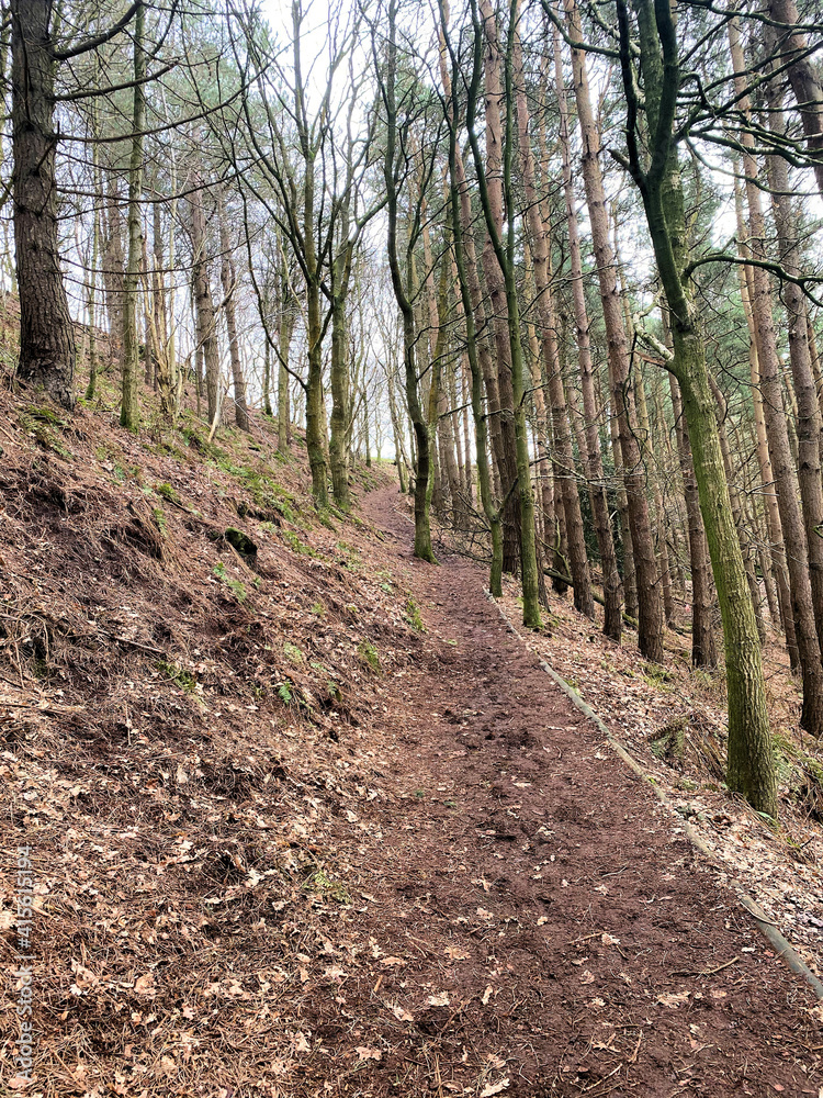 A view of Bickerton Hills in Cheshire
