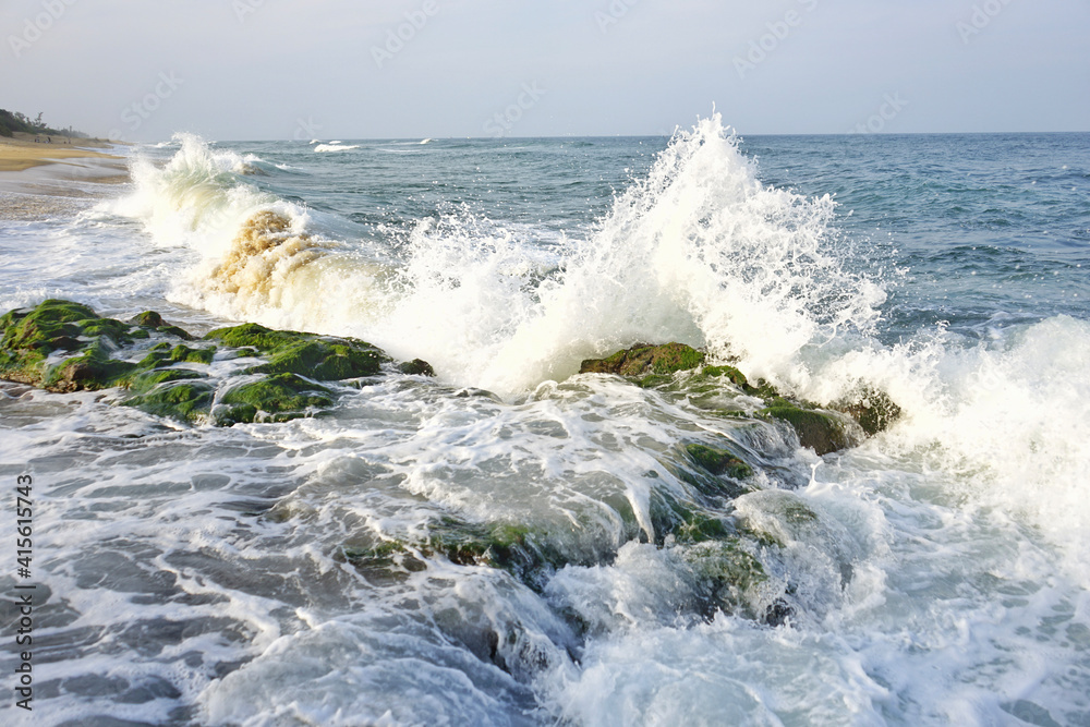 Fototapeta premium waves on the beach