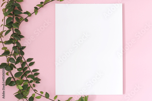 vertical blank paper page on pink background with green plant, mockup for pictures