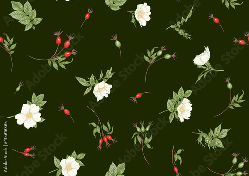 Rose hips with flowers and berries seamless pattern. Graphic drawing, engraving style. Vector illustration on black background