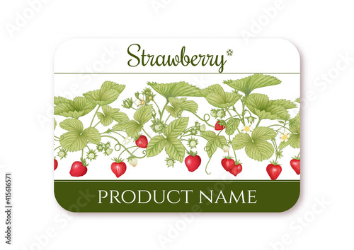 Strawberry. Ripe berries. Template for product label, cosmetic packaging. Easy to edit. Graphic drawing, engraving style. Vector illustration