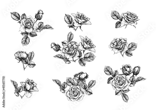 Roses flowers Clip art, set of elements for design Outline hand drawing vector illustration. Graphic drawing, engraving style. Vector illustration. Isolated on white background..