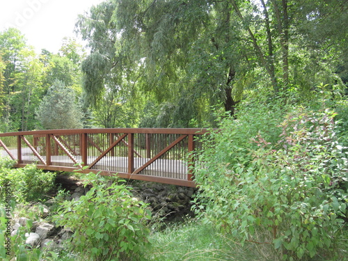 bridge in the forest, bridge, wooden, forest, greenery, landscape