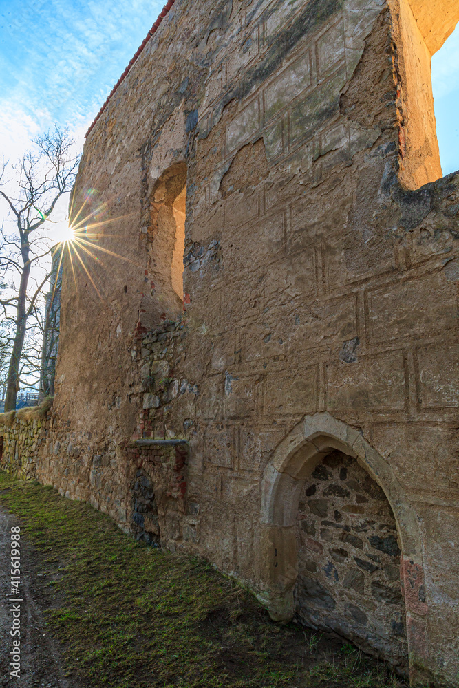 Obraz premium The medieval castle Zvikov in the winter time