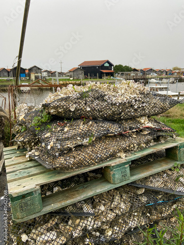 Sacoches d'huitres, sur le port de Larros, bassin d'Arcachon, Gironde photo