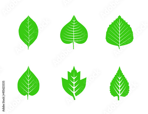 Eco  green  leaves icon set. Vector illustration.
