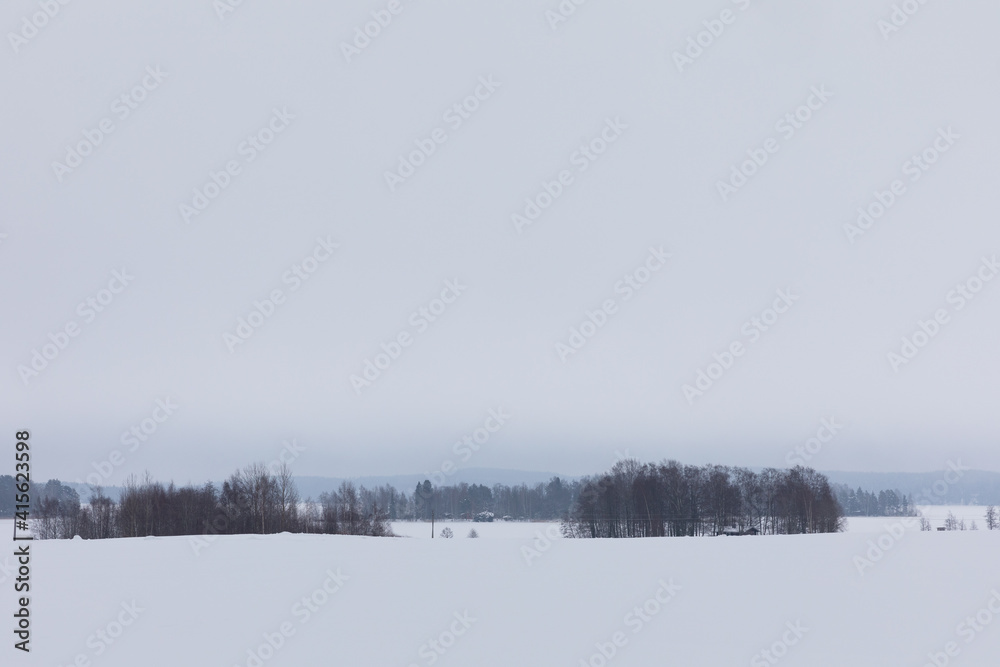 Winter scenery and snowing Winter scenery and snowing