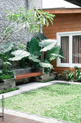 Tropical Garden backyard during the day with wooden cabin