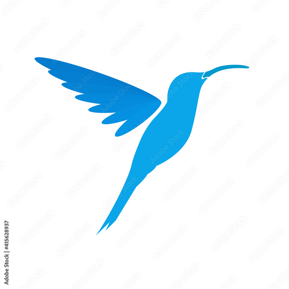 Obraz premium Hummingbird vector art and graphics