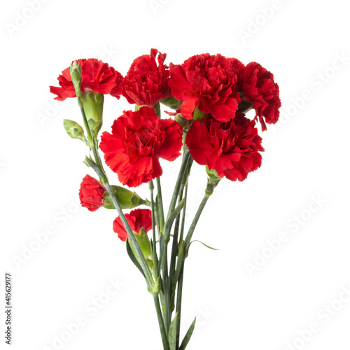 Beautiful red carnation flowers isolated on white background photo