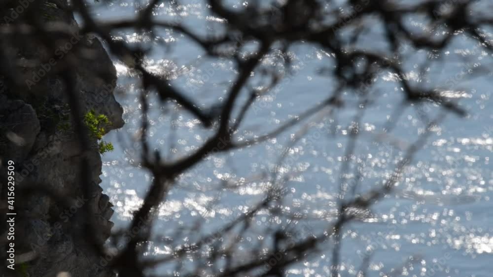 the sea with its reflections seen from the rocky promontory through the branches of a tree in winter the sea with its reflections seen from the rocky promontory through the branches of a tree in winter