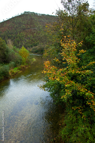 Zona salmonera, Río Bedón, Asturias