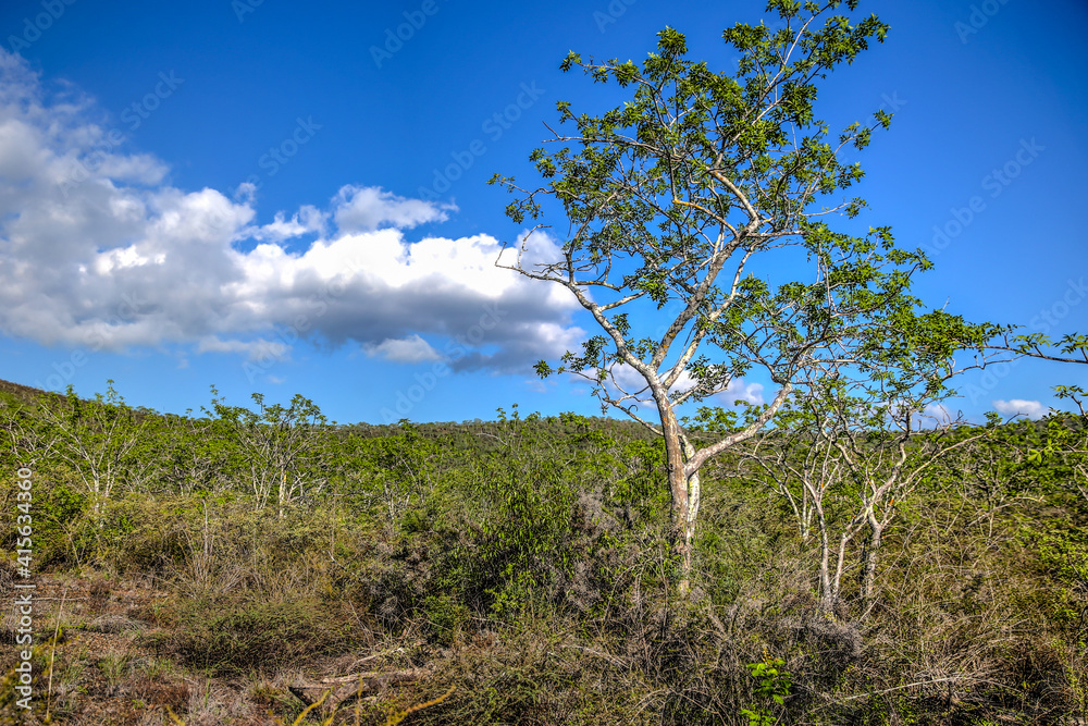 Pathways and scenery along the pathways of Tegus Cove in the Galapagos Pathways and scenery along the pathways of Tegus Cove in the Galapagos