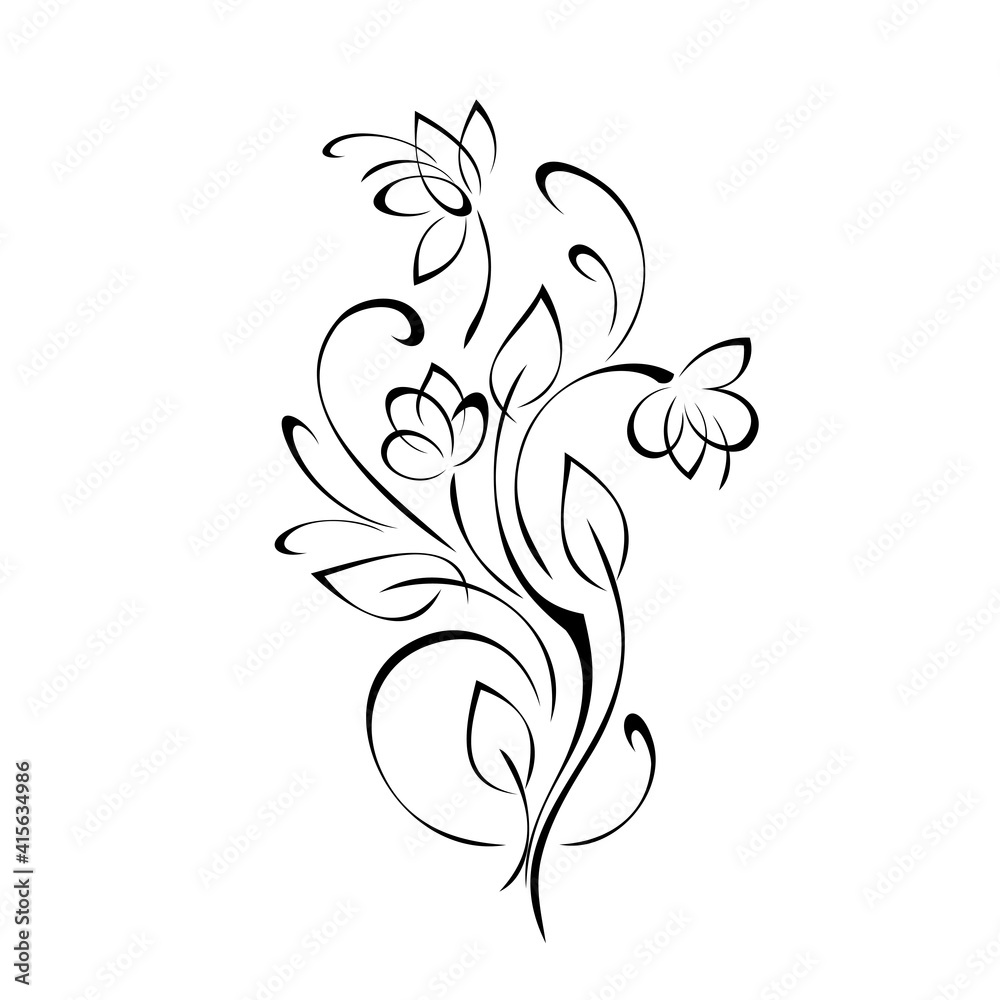ornament 1563. stylized twig with blooming flowers, leaves and curls in black lines on a white background