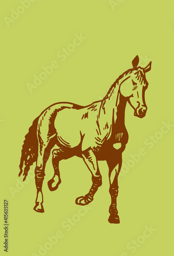 Vector color illustration, hand-drawn horse