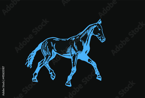 Vector color illustration  hand-drawn horse