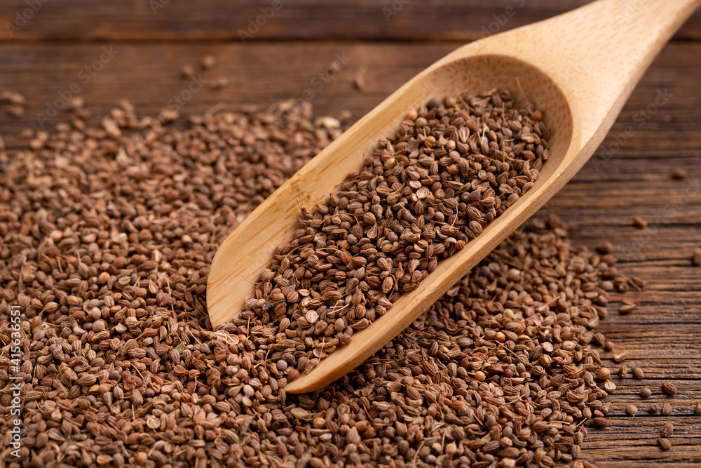 Anise seeds in a wooden spoon. Spice. Lots of dry anise seeds. Anise seeds in a wooden spoon. Spice. Lots of dry anise seeds.
