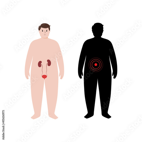 Organs in obese human body