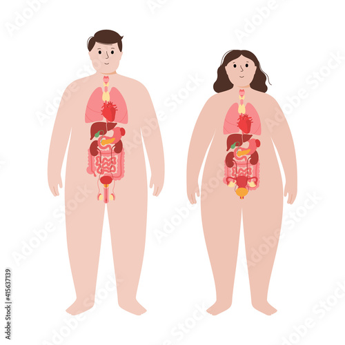 Organs in obese human body