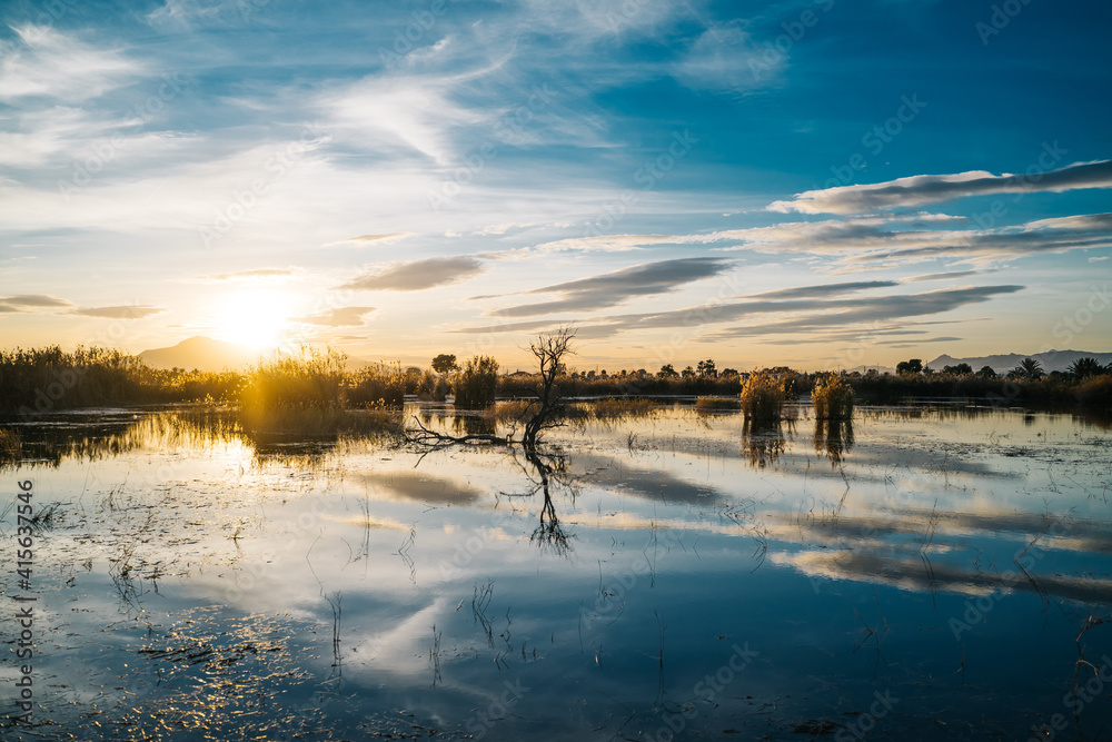 Beautiful lake with the sun reflecting in the water in the background in the Beautiful lake with the sun reflecting in the water in the background in the