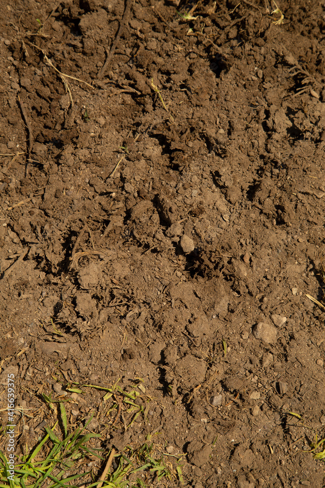 detail of wet garden soil as texture detail of wet garden soil as texture