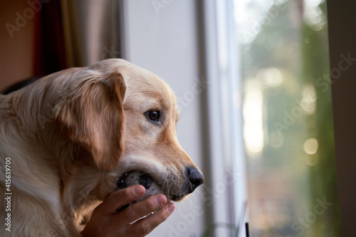 Dog and human spend precious time together, playing