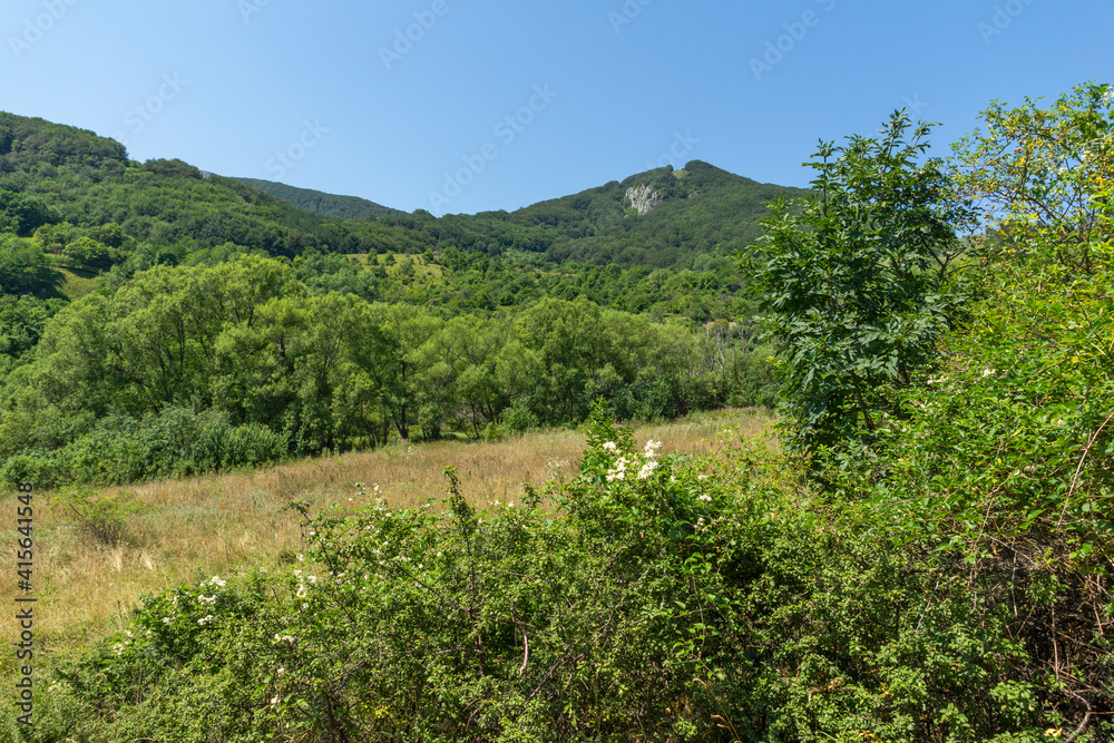 Stara Planina Mountain near village of Zasele, Bulgaria