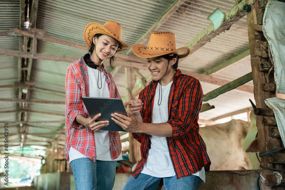 farmer boy and girl looking at and using tablet together with cow shed background