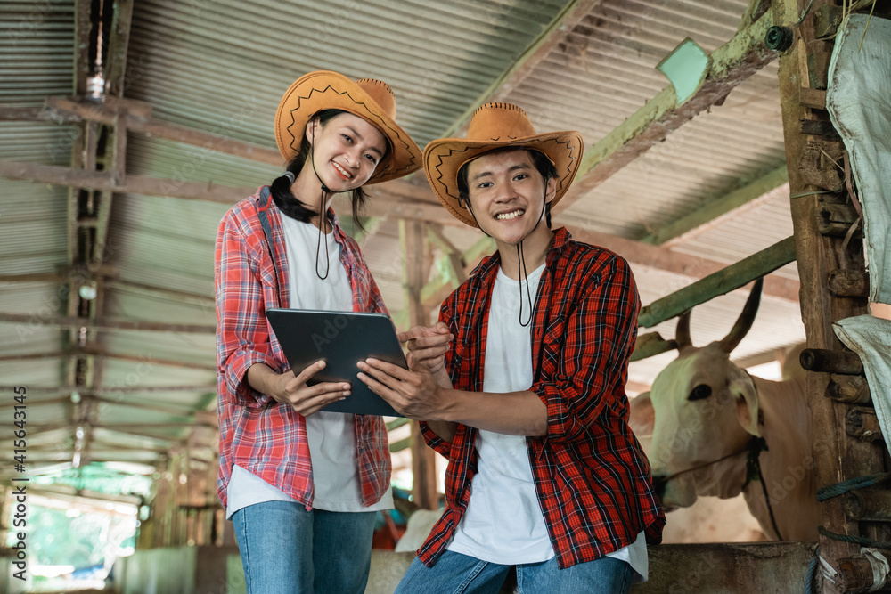 the farmer boy and girl smile while using the tablet against the background of the cow shed