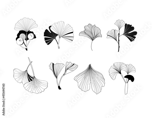 A set of illustrations of ginkgo plant icons on a white background