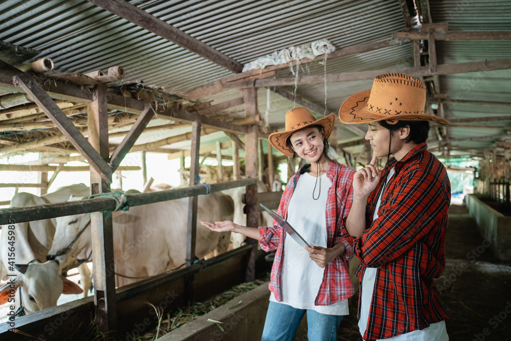 The boy thinks when a girl is wearing a hat explaining using a tablet in a cattle pen