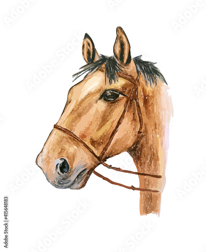 Hand drawn watercolor colorful illustration of brown horse isolated on white background.