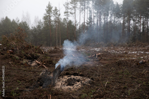 There is smoke from a log fire on a cut-down clearing in the forest.