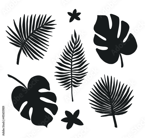 Vector set bundle of hand drawn palm and monstera leaf silhouette isolated on white background