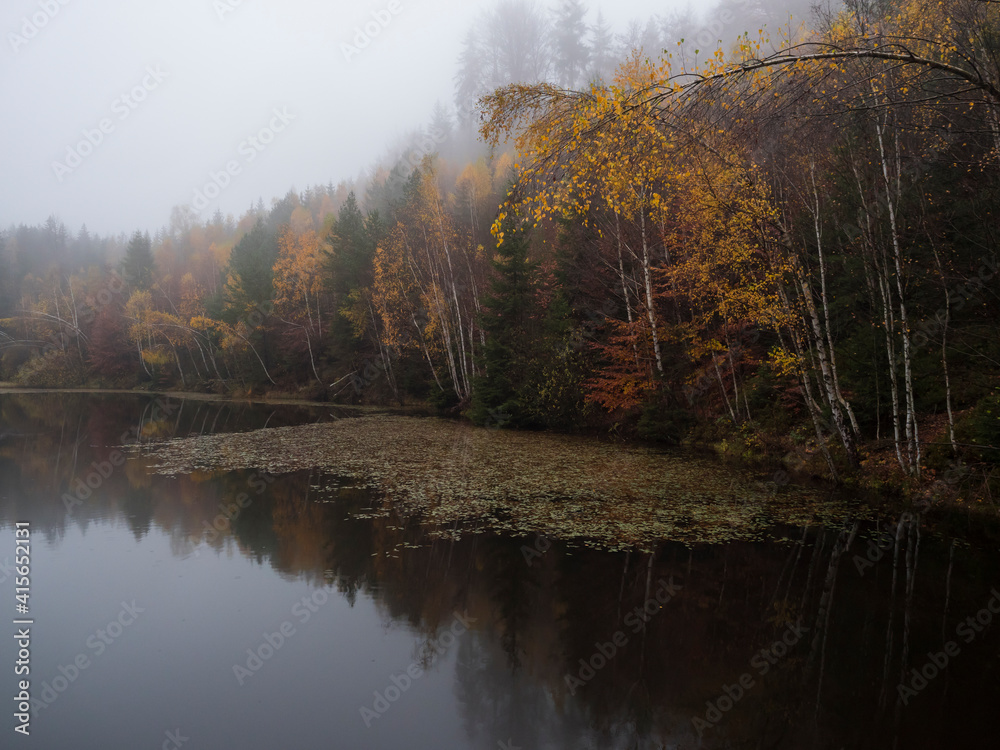 Fototapeta premium Forest lake, pond with autumn colorful birch, beech and spruce trees and water lily. Partialy covered by thick fog. Moody dark landscape at Luzicke hory Lusatian Mountains, Czech Republic.
