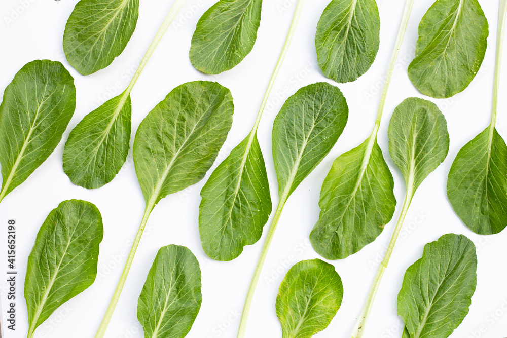 Choy Sum on white background. Copy space Choy Sum on white background. Copy space